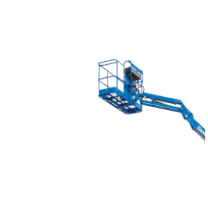 Tree Crown Trimming in Vake Park, Tbilisi, Georgia